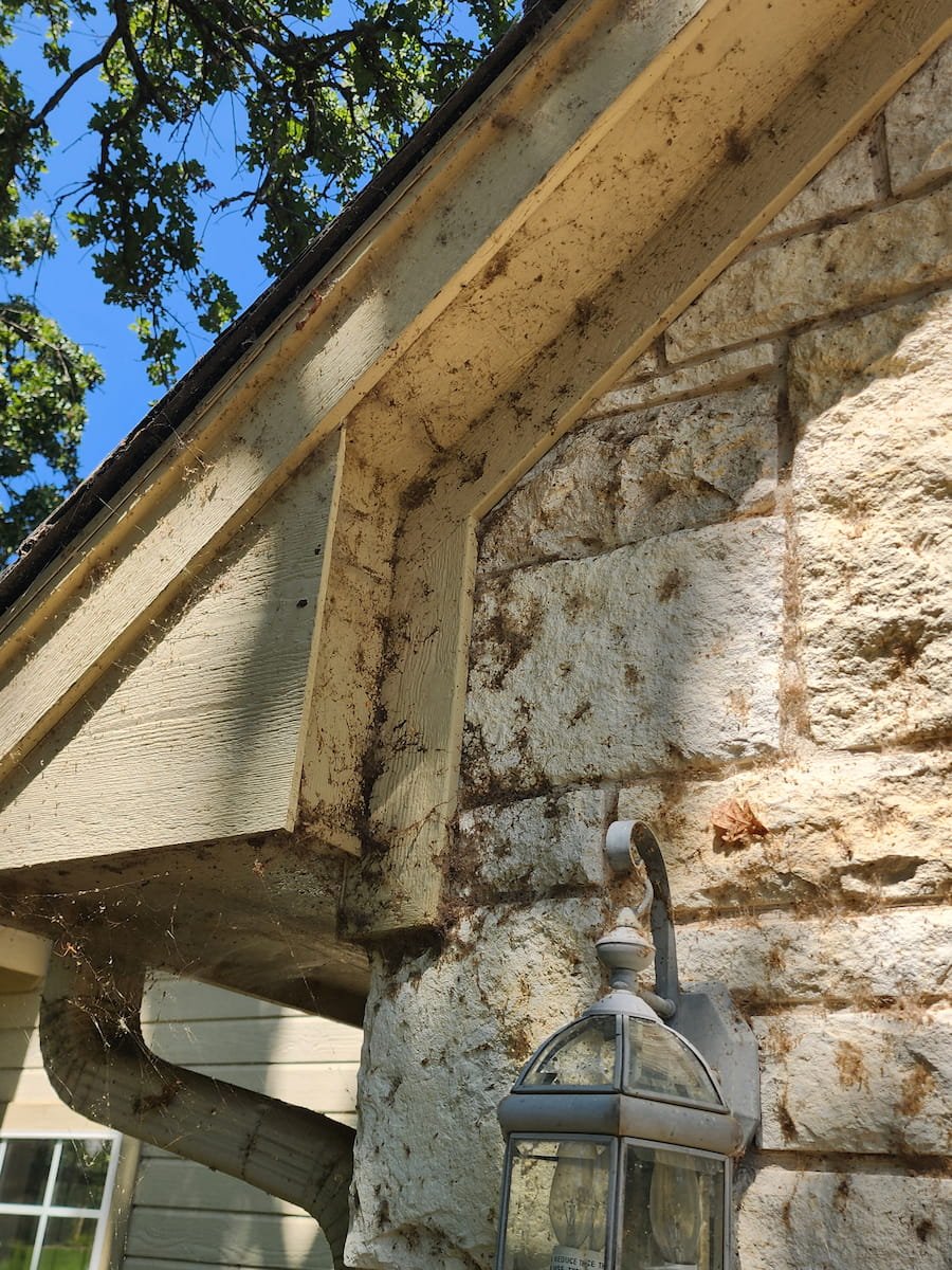 House washing before cleaning in Streetman TX showing dirty soffit and spider webs under roof eaves