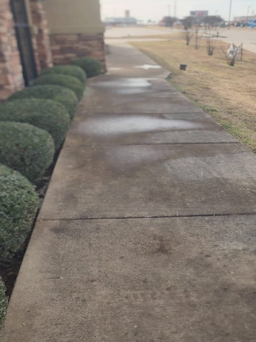 Concrete sidewalk before pressure washing in Corsicana TX showing algae mildew and dirt buildup