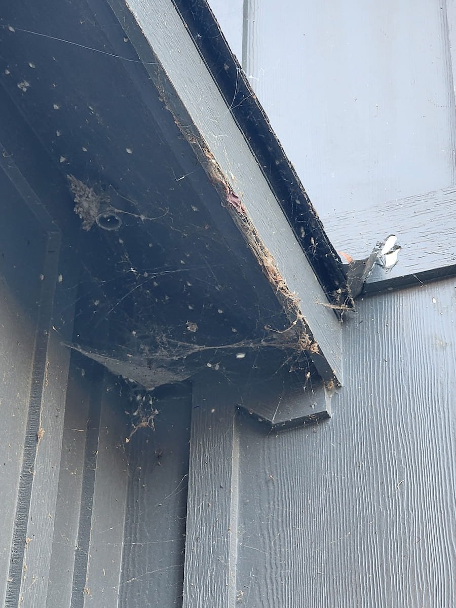 Soffit and entry trim covered with spider webs and debris before house washing near Richland Chambers Lake Texas